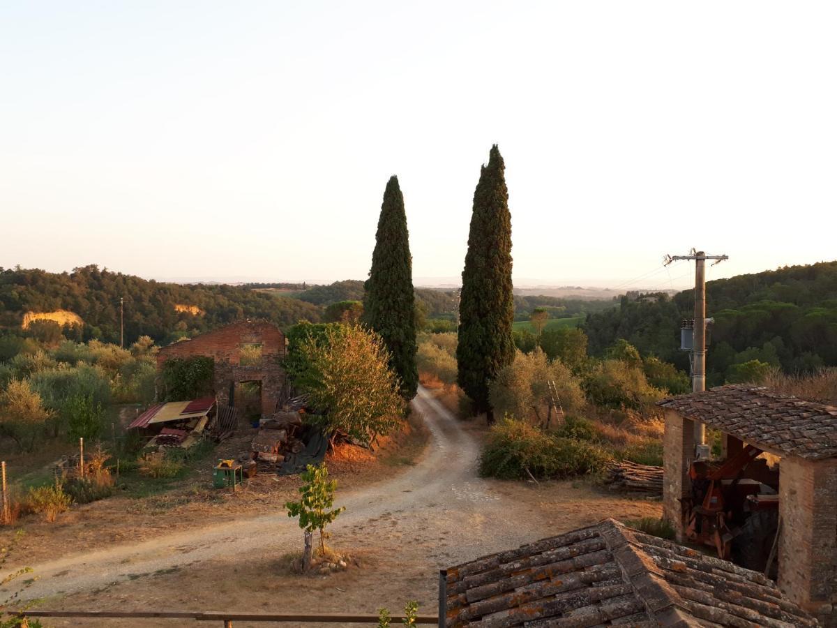 Podere Calcinaia カステルヌオーヴォ・ベラルデンガ エクステリア 写真