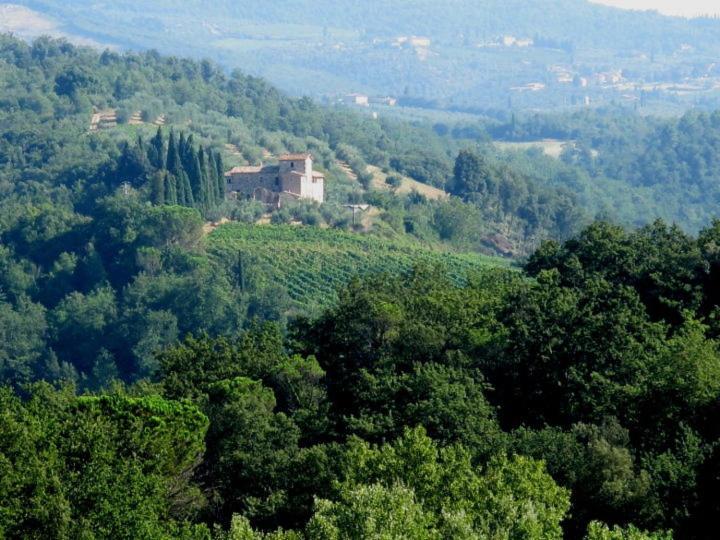 Podere Calcinaia カステルヌオーヴォ・ベラルデンガ エクステリア 写真