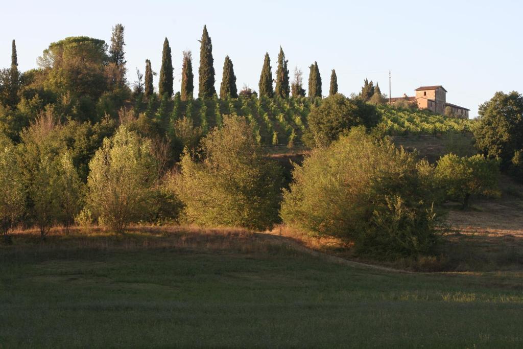 Podere Calcinaia カステルヌオーヴォ・ベラルデンガ エクステリア 写真