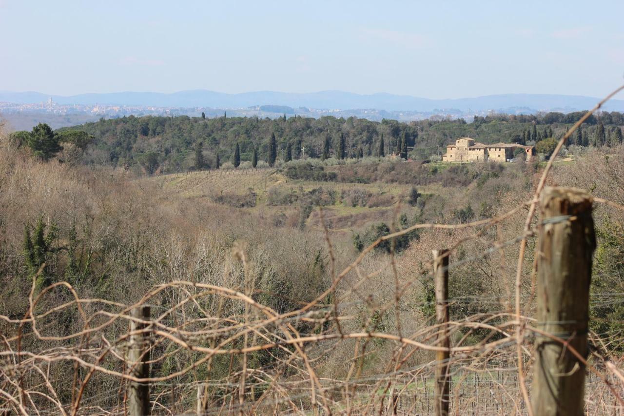 Podere Calcinaia カステルヌオーヴォ・ベラルデンガ エクステリア 写真